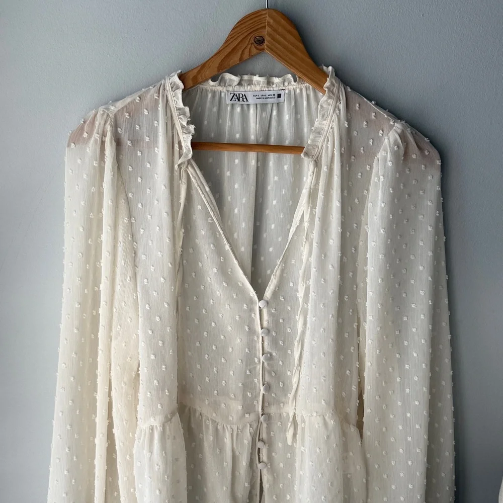 Zara Swiss Dot Sheer Button Down Blouse - Picture 5 of 11